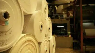 Suzano enfrenta desafios com queda de receita e alta de custos no 3T