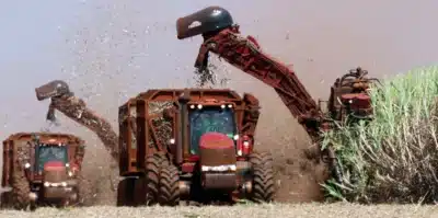 São Martinho S.A. Formaliza Incorporação da Nova Egito Agrícola em Transação de R$ 80 Mil