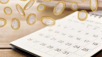 Agenda de Dividendos Explosiva em Fevereiro de 2026: Empresas Revelam Proventos!