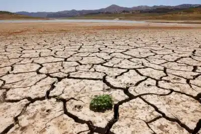 El Niño Ameaça: Bandeiras Tarifárias Mais Caras em 2026?