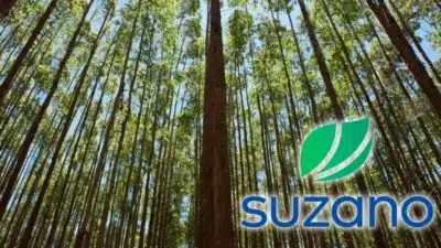 Suzano Surpreende Mercado com Lucros Recordes e Plano de Valorização Acelerado!