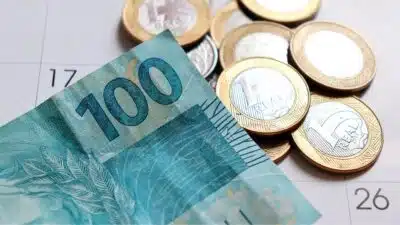 Agenda Semanal de Dividendos: Não perca as empresas que pagam JCP e dividendos em fevereiro de 2026! Bradesco, Itaú, Mitre Realty e Localiza estão na lista!