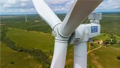 Weg Surpreende com Lucro, Mas Analistas Alertam Sobre Desafios em 2026!