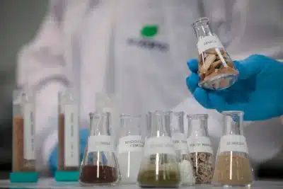 Ceticismo domina o setor de papel e celulose: o que esperar para o 2º semestre de 2026?